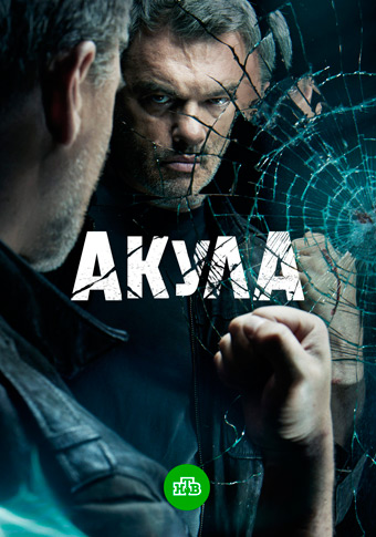 Акула