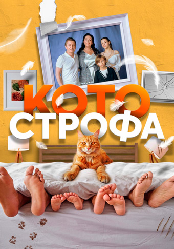 Котострофа