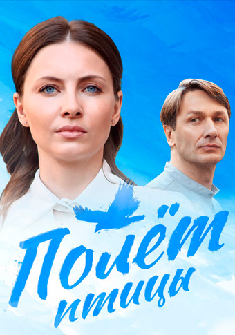 Полет птицы